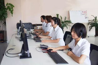 12349政務服務咨詢欄目推出蒙語版，便民服務再升級